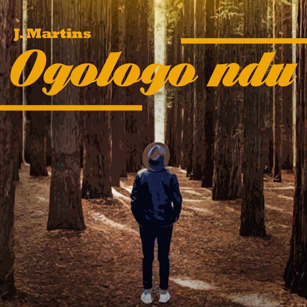 Ogologo Ndu