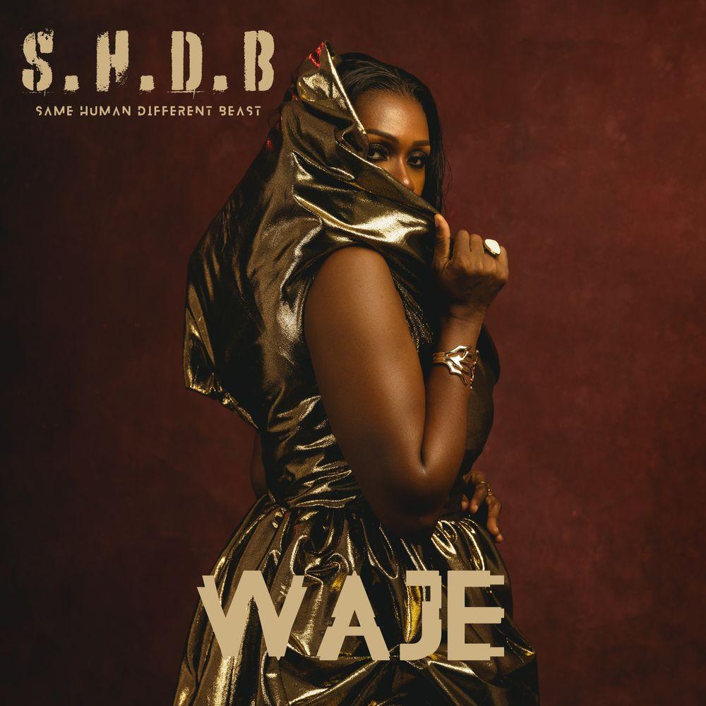 Waje: Same Human Different Beast - EP review - truly same human but a different beast