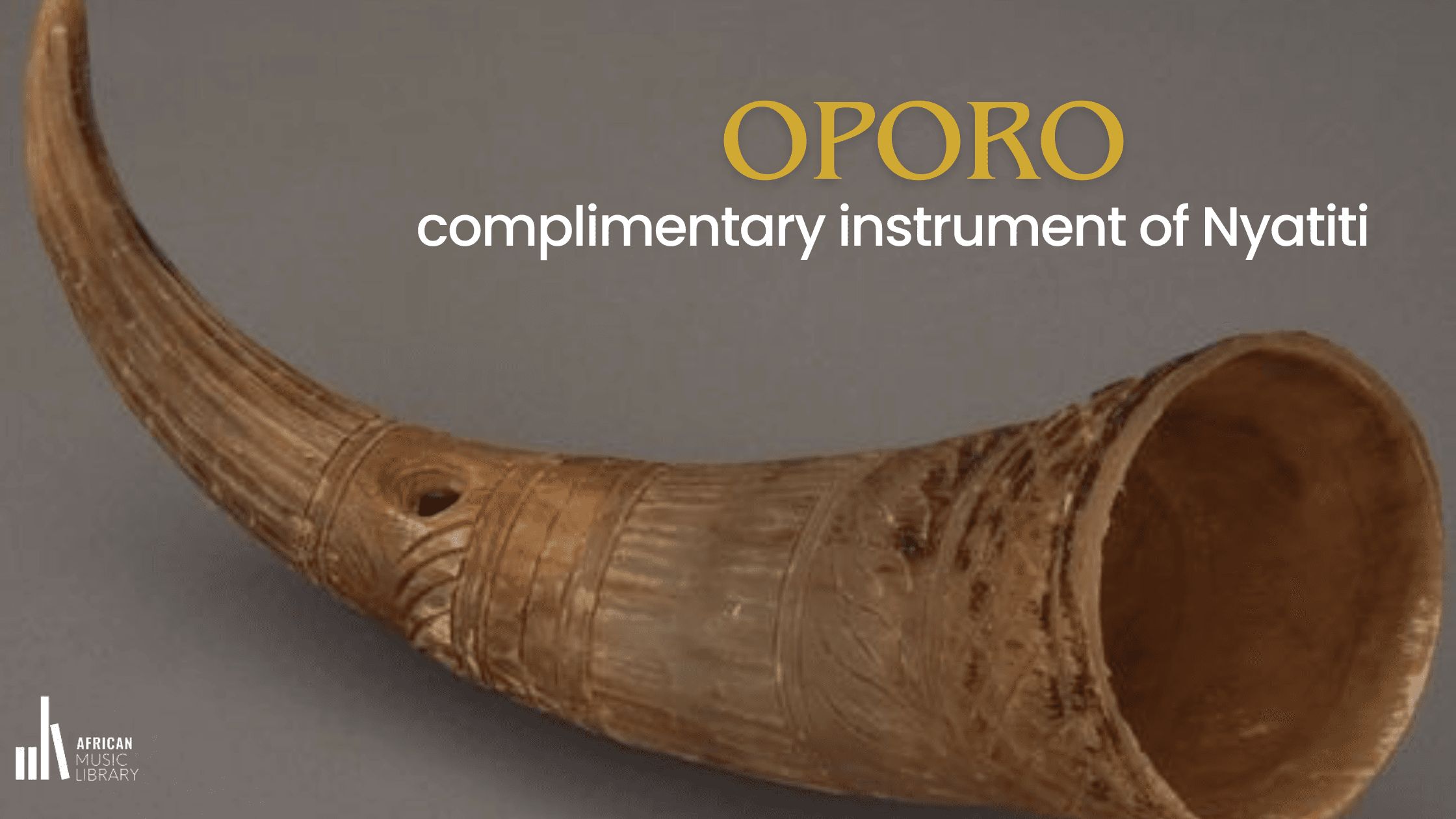 Oporo: Complimentary Instrument of Nyatiti